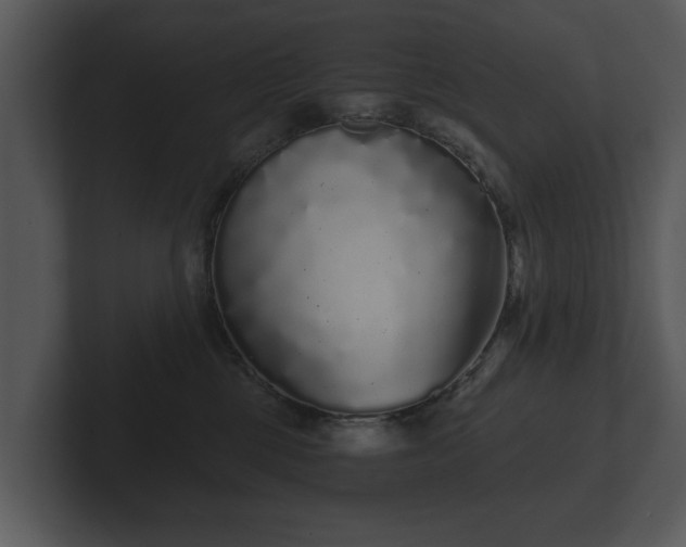 X0000103150377200808291435