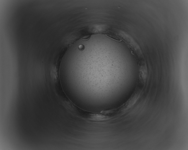 X0000103150380200808291435