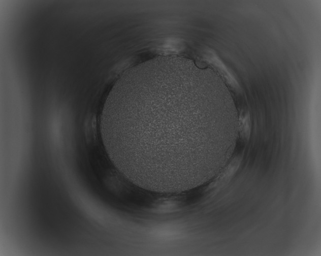 X0000103150381200808291435