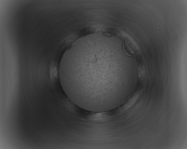 X0000103150382200808291435