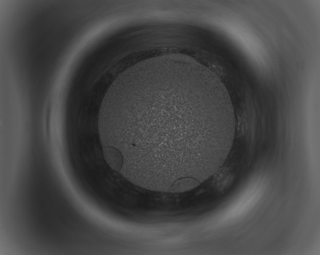 X0000103150383200808291435