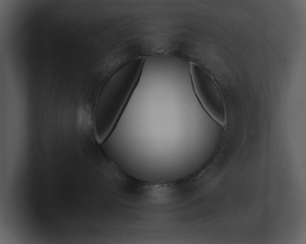 X0000103150384200808291435