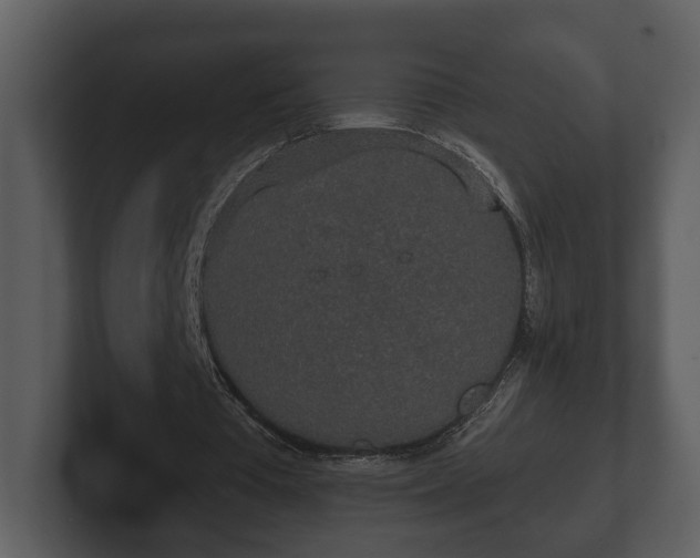 X0000103150385200808291434