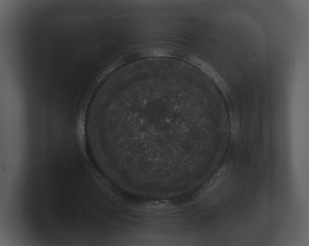 X0000103150386200808291434