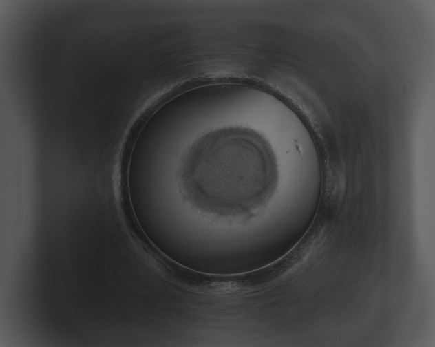 X0000103150391200808291434