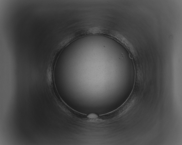 X0000103150393200808291434