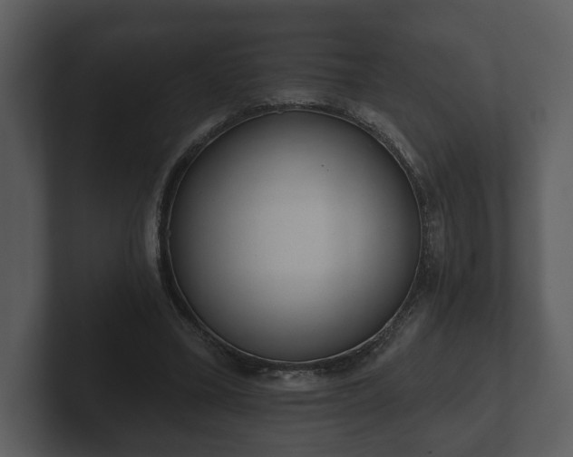 X0000103150395200808291434