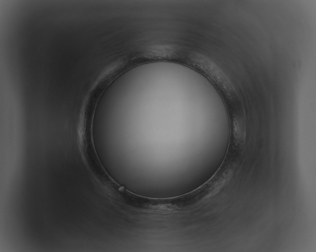 X0000103150396200808291434