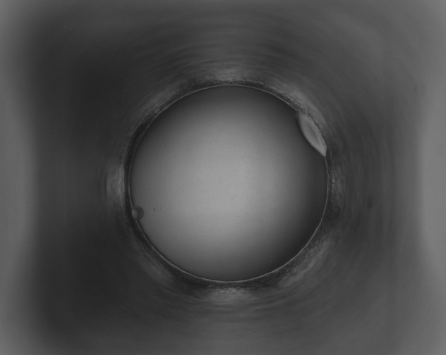 X0000103150397200808291434