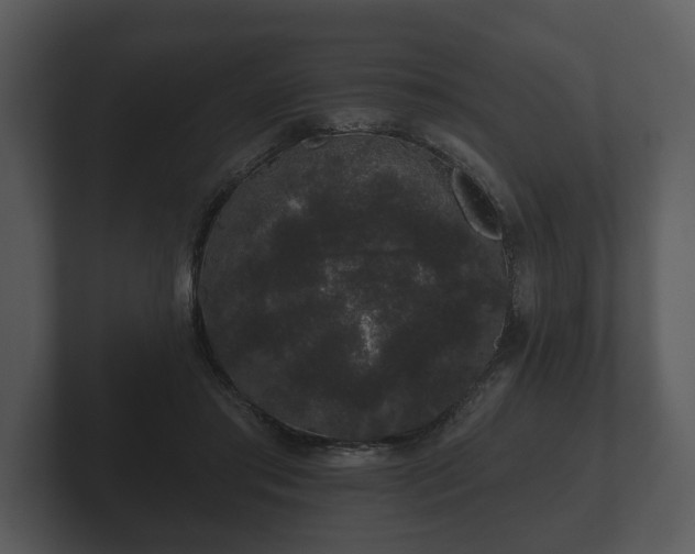 X0000103150405200808291434