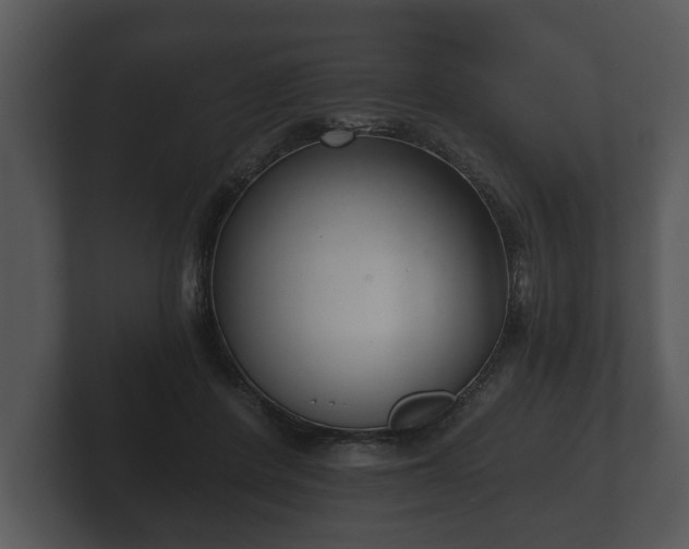 X0000103150408200808291434