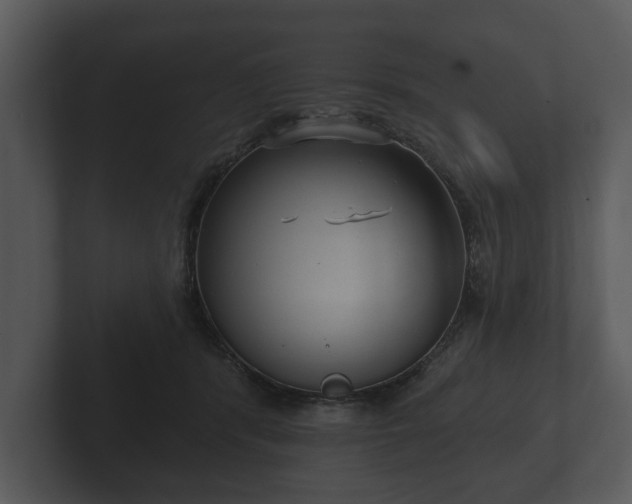 X0000103150416200808291434