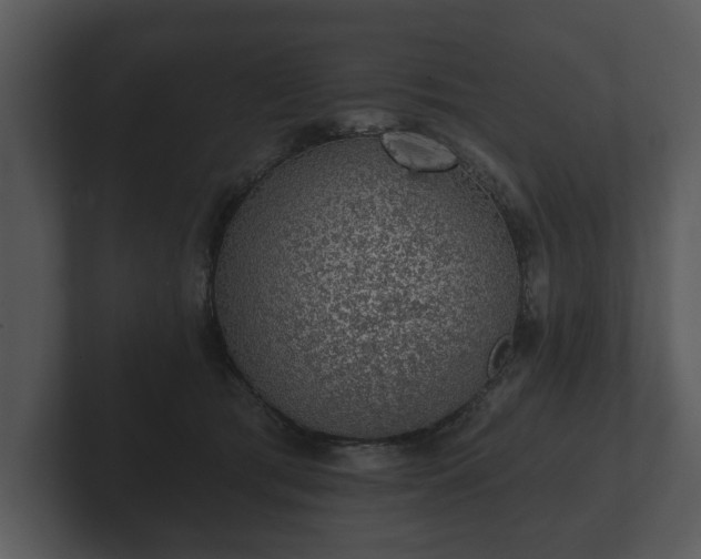 X0000103150417200808291434