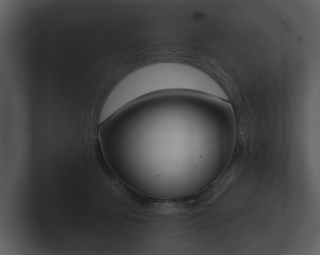 X0000103150419200808291434