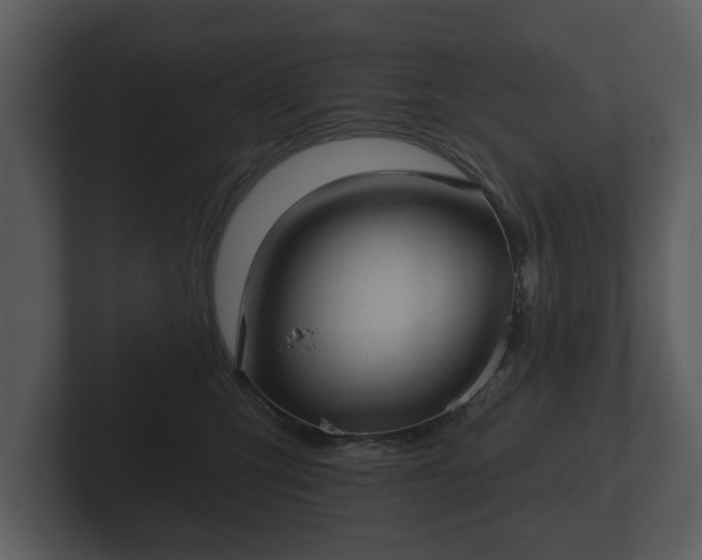 X0000103150423200808291434