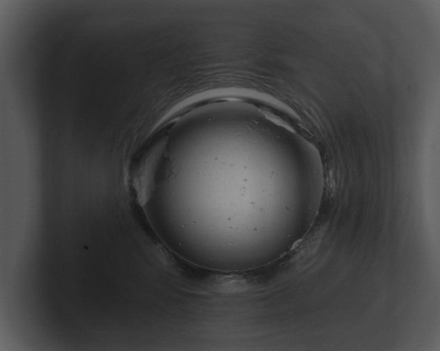 X0000103150424200808291434