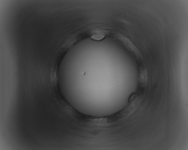 X0000103150426200808291434