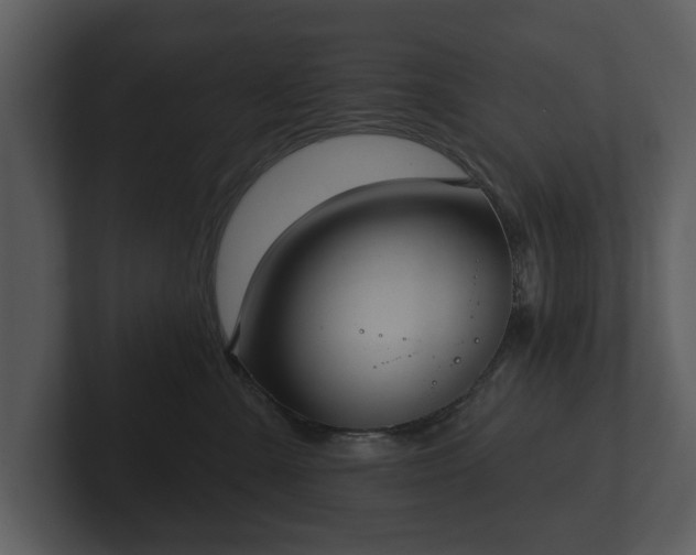 X0000103150427200808291434