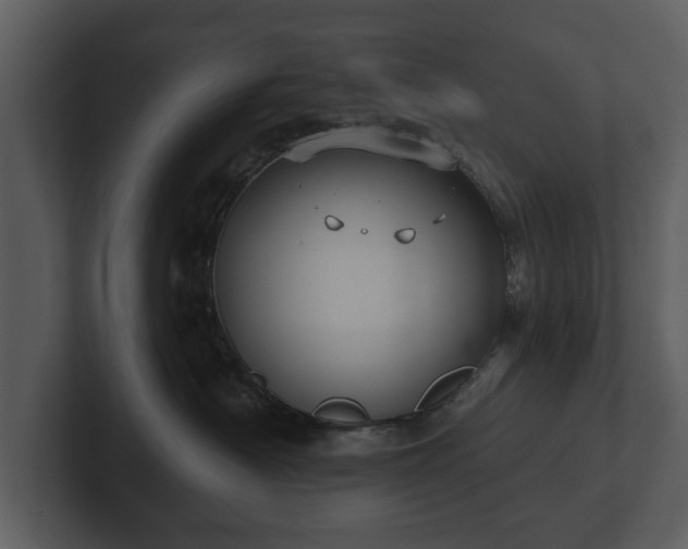 X0000103150430200808291433