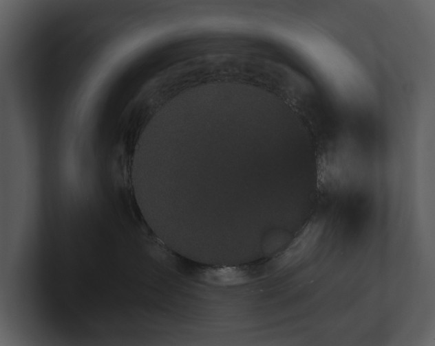 X0000103150431200808291433