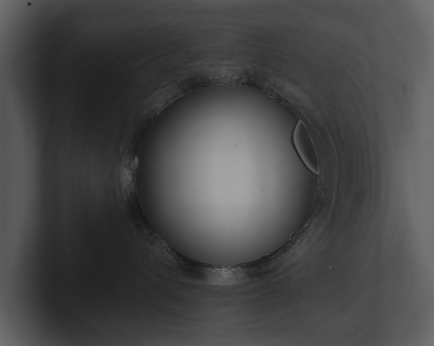 X0000103150432200808291433