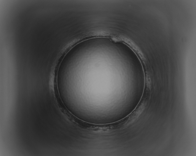 X0000103150434200808291433