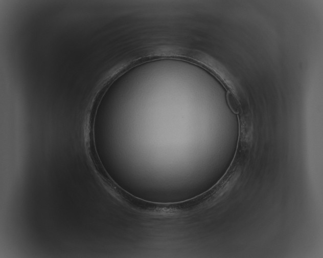 X0000103150437200808291433