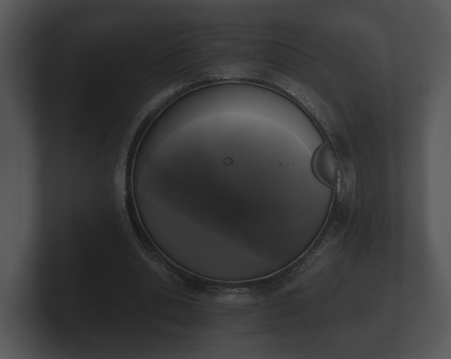 X0000103150438200808291433