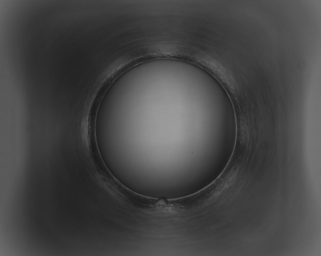 X0000103150439200808291433