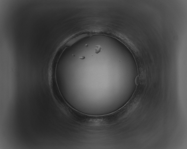 X0000103150440200808291433