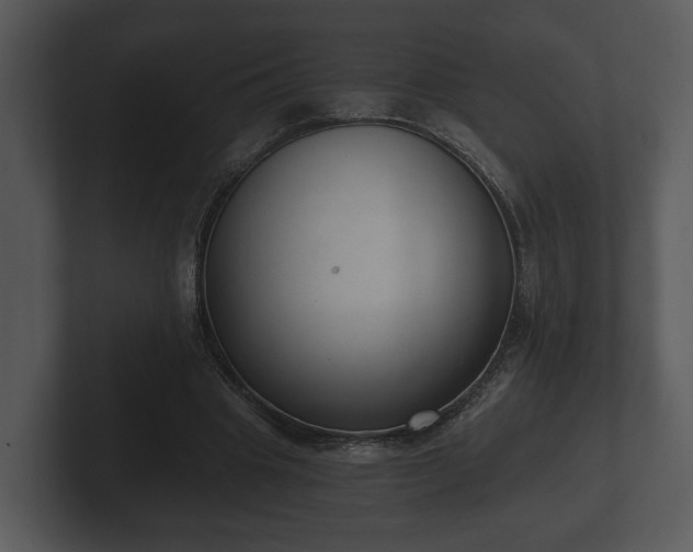 X0000103150441200808291433