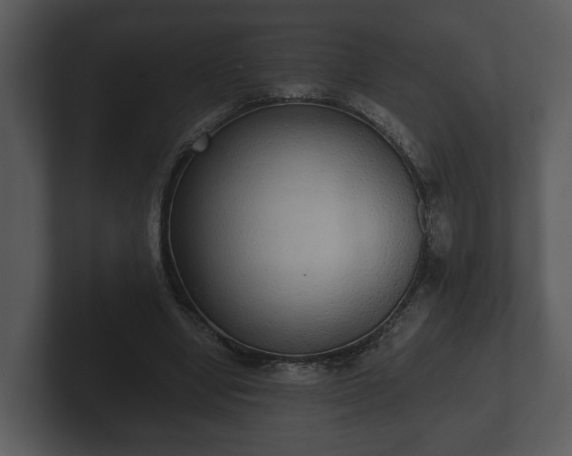 X0000103150442200808291433