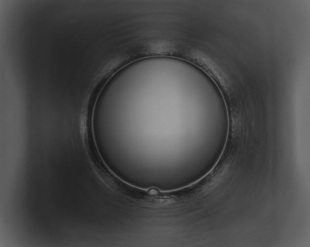 X0000103150443200808291433