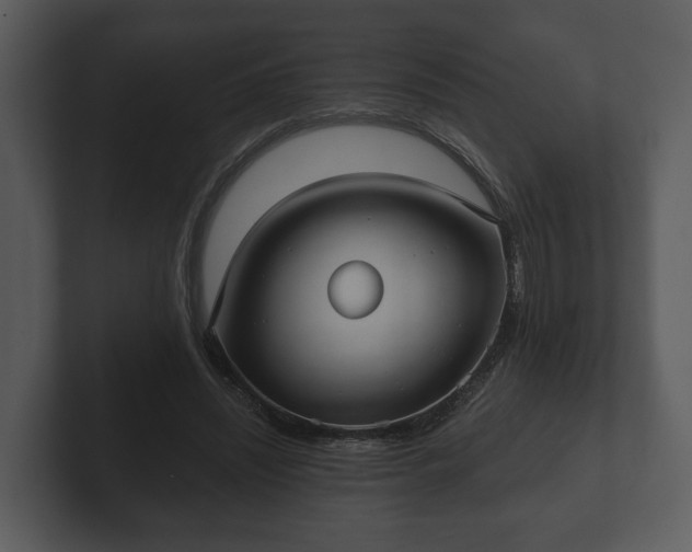 X0000103150444200808291433