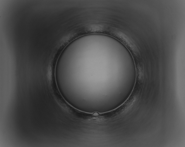 X0000103150447200808291433