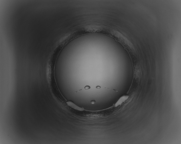 X0000103150448200808291433