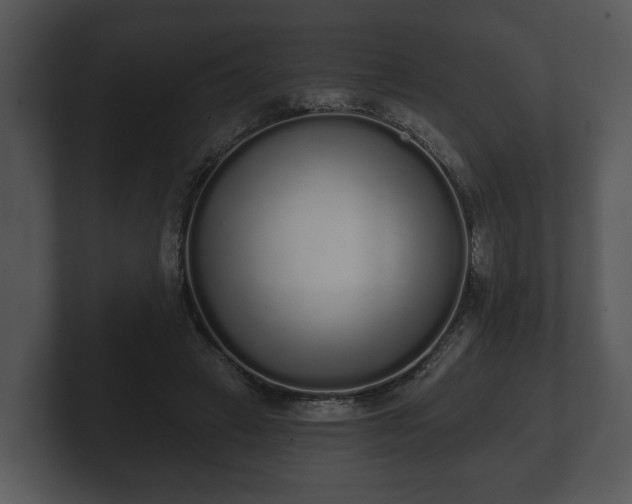 X0000103150449200808291433