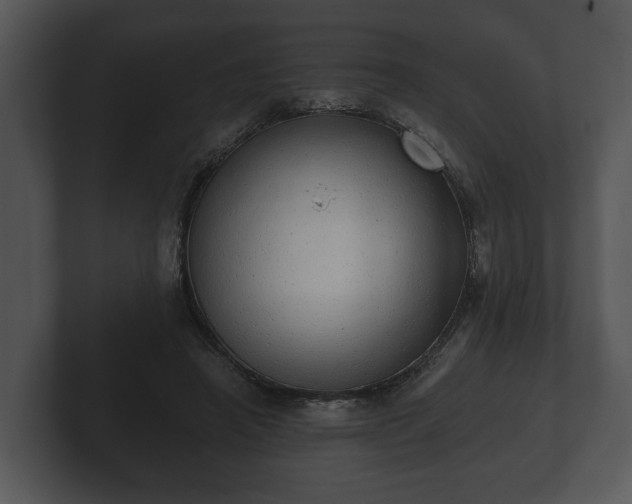 X0000103150450200808291433