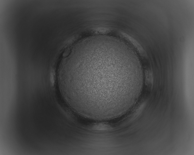 X0000103150451200808291433