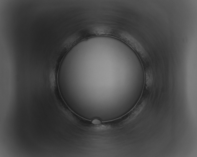 X0000103150453200808291433