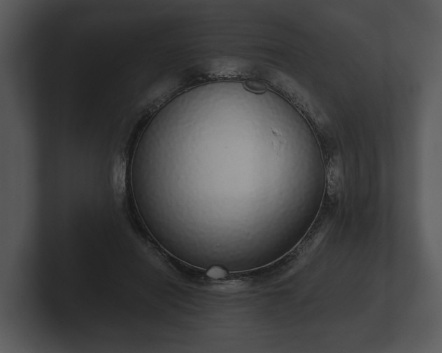 X0000103150454200808291433