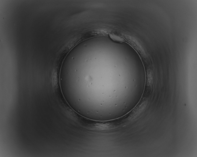 X0000103150457200808291433