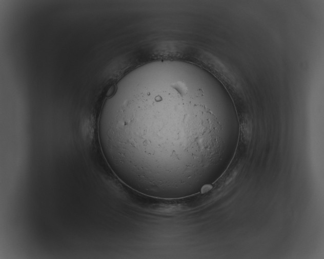 X0000103150458200808291433