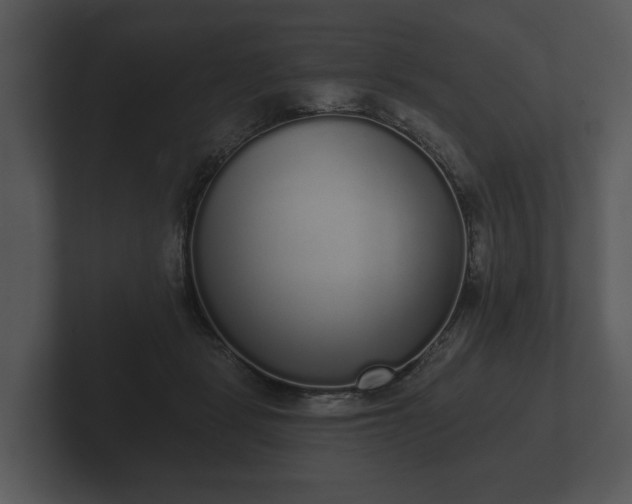 X0000103150461200808291433