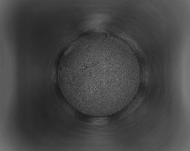 X0000103150465200808291433