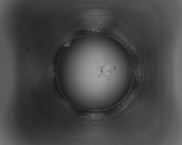 X0000103150466200808291433