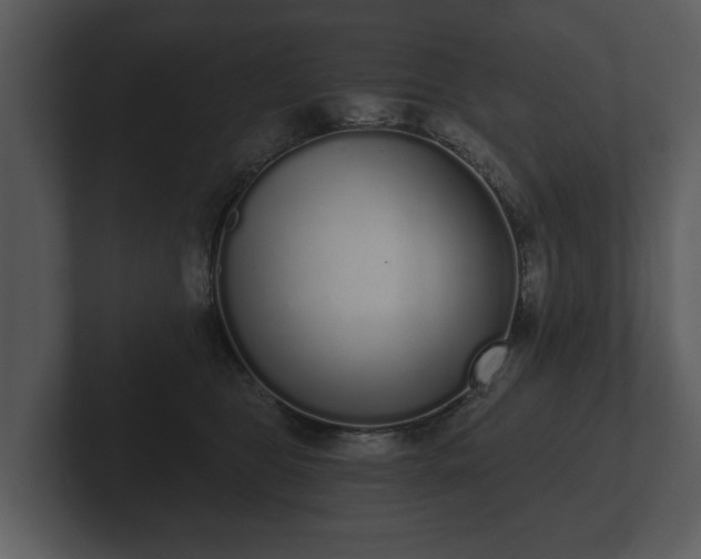 X0000103150469200808291433