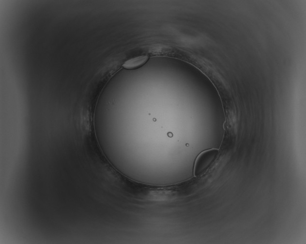 X0000103150470200808291433