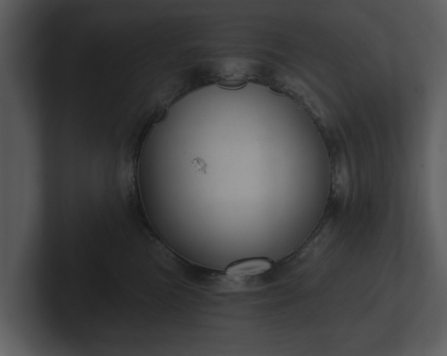 X0000103150473200808291433