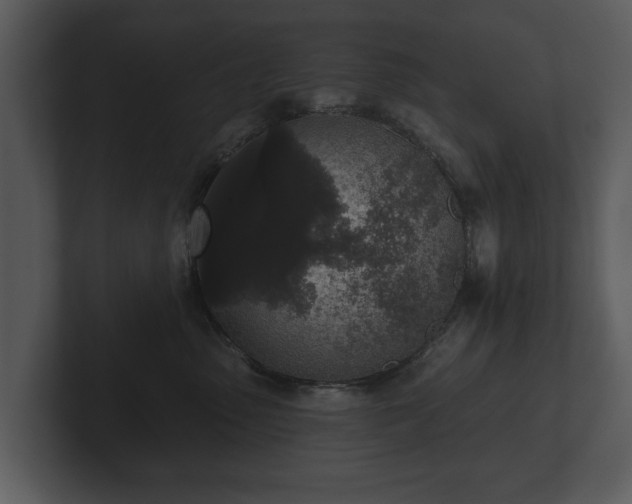 X0000103150475200808291433